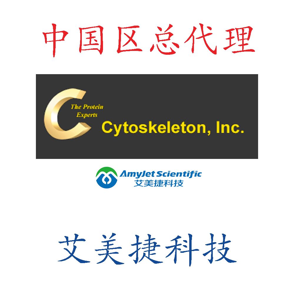 波形蛋白（重组叙利亚仓鼠）|Vimentin (Recombinant Syrian Hamster)