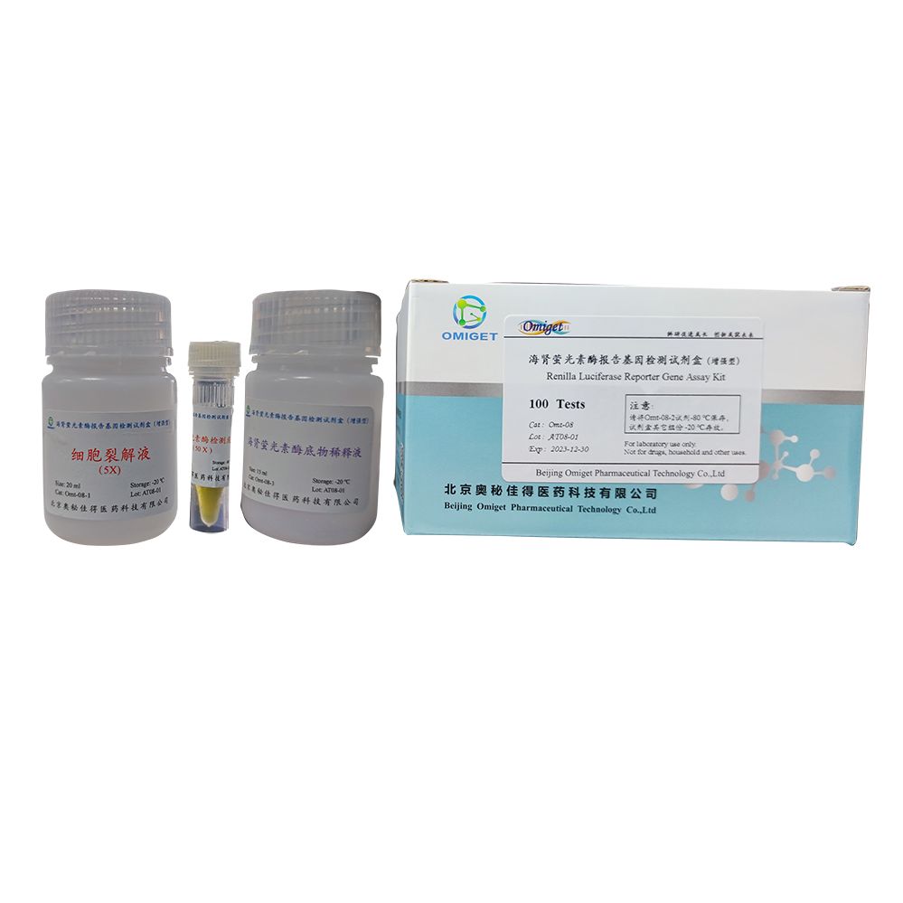 海肾荧光素酶报告基因检测试剂盒（增强型）