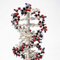 MFP 酸性磷酸酶检测试剂盒 荧光法