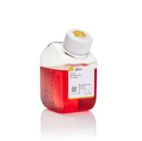 Ham's F-12 营养混合物