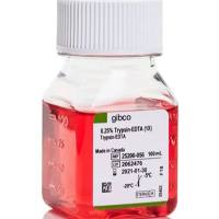 胰蛋白酶-EDTA (0.25%),含酚红
