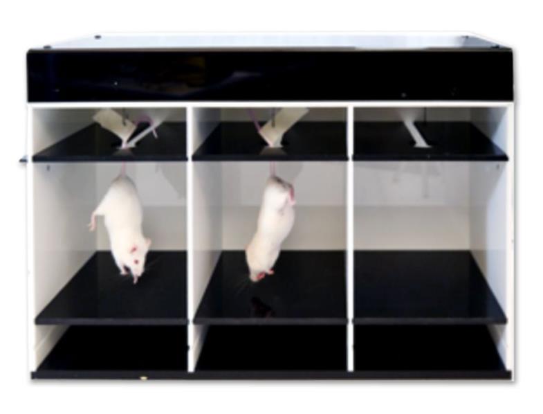 悬尾实验测试仪 