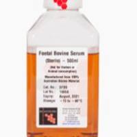 Fetal Bovine Serum New Zealand Origin 新西兰胎牛血清