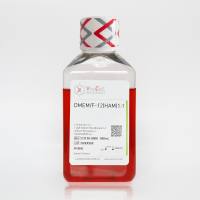 DMEM/F12(含谷氨酰胺,Contains sodium pyruvate,含HEPES)