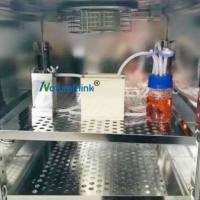 细胞体外仿生培养系统