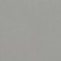 衰变加速因子CD55抗体