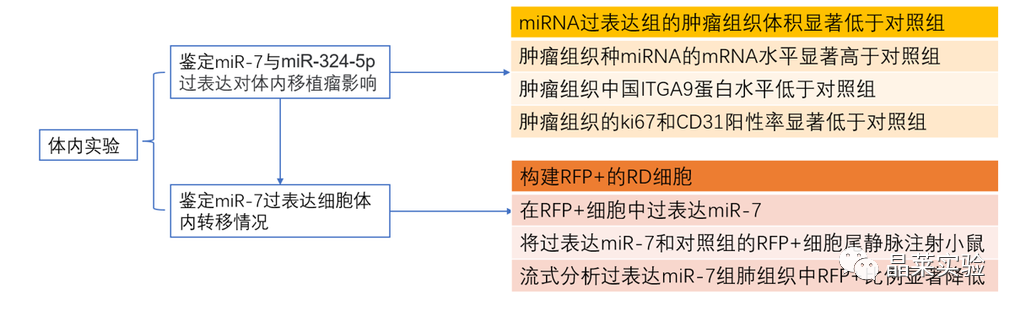 技术资料图片3