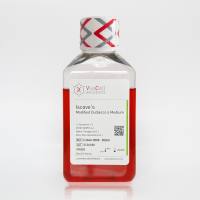 IMDM（含谷氨酰胺）