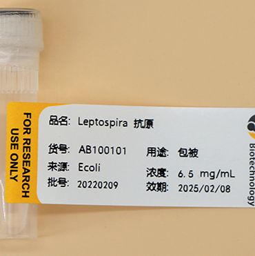 钩端螺旋体抗原/Leptospira Antigen