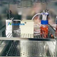 体外肿瘤细胞血流刺激系统