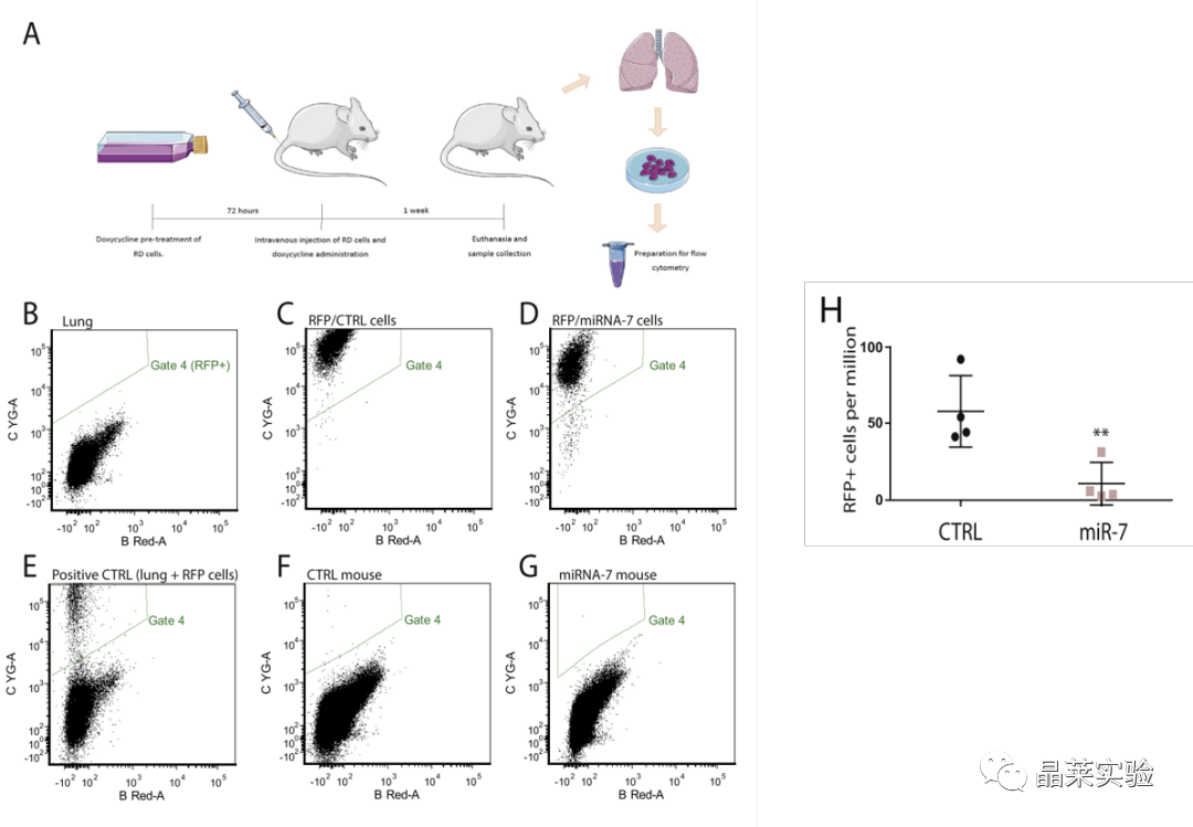 技术资料图片10