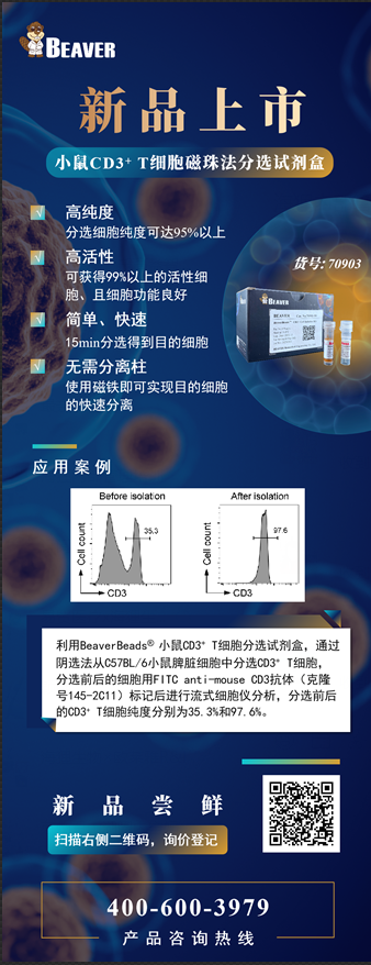 高纯度、高活性小鼠CD3+ T 细胞分选试剂盒新品上市！