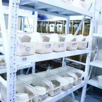 阿尔茨海默病(AD)大鼠模型构建