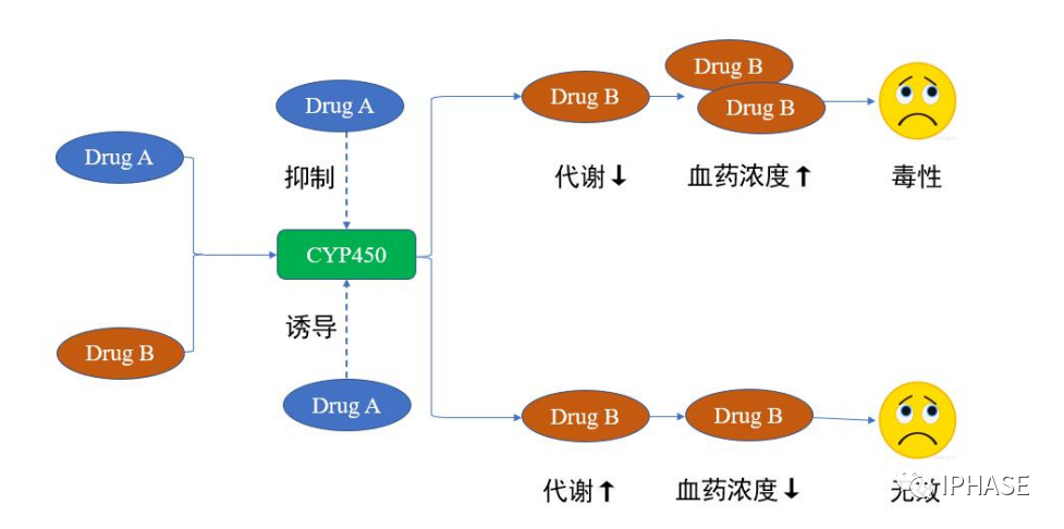 酶抑制IC50试验研究原理和试验方法