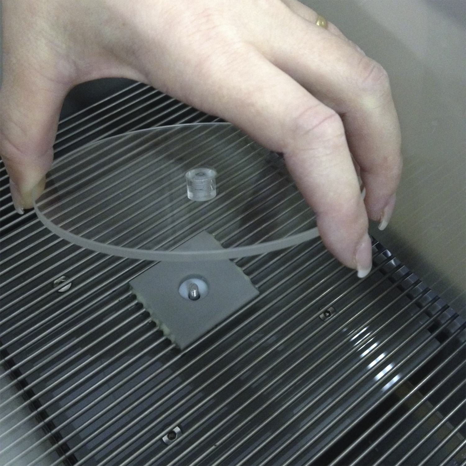  小鼠避暗测试仪