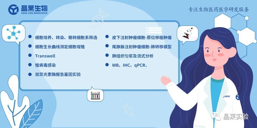 技术资料图片12