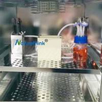 离体细胞体外仿生培养系统