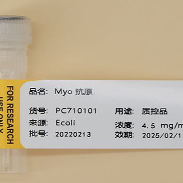 肌红蛋白抗原/Myo 抗原/Myoglobin Antigen