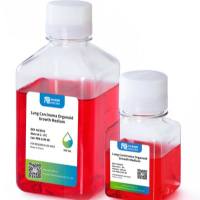 急性髓系白血病完全培养基