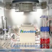 仿生滋养细胞-内皮细胞共培养系统