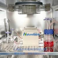 体外仿生机械应力刺激多细胞共培养系统