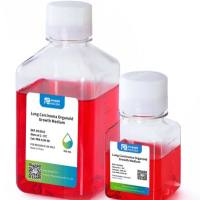 原代肠癌完全培养基