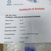 小鼠抗禽流感N蛋白单克隆抗体