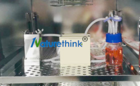 间充质干细胞流体剪切力系统