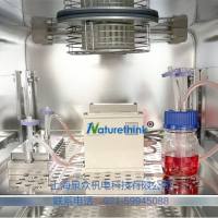 内皮细胞-平滑肌细胞装置