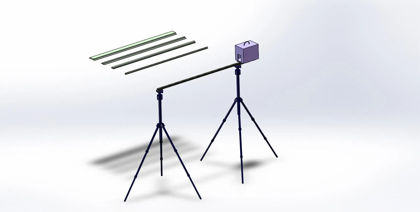 平衡木训练 / 动物行为学实验