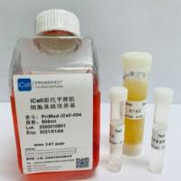 iCell原代平滑肌细胞培养体系