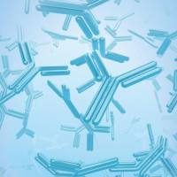 多肽合成 BYX-001