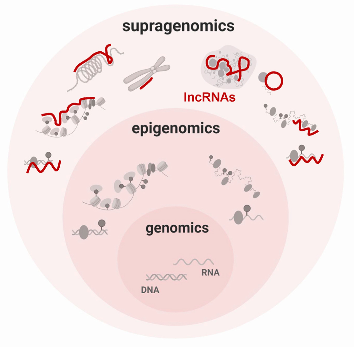lncRNA研究进展盘点（20220624）