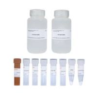 线粒体膜通透性转换孔检测试剂盒（流式分析）