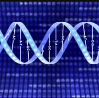 染色体重排检测