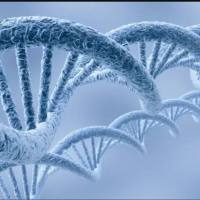 全基因组（WGS）脱靶检测技术