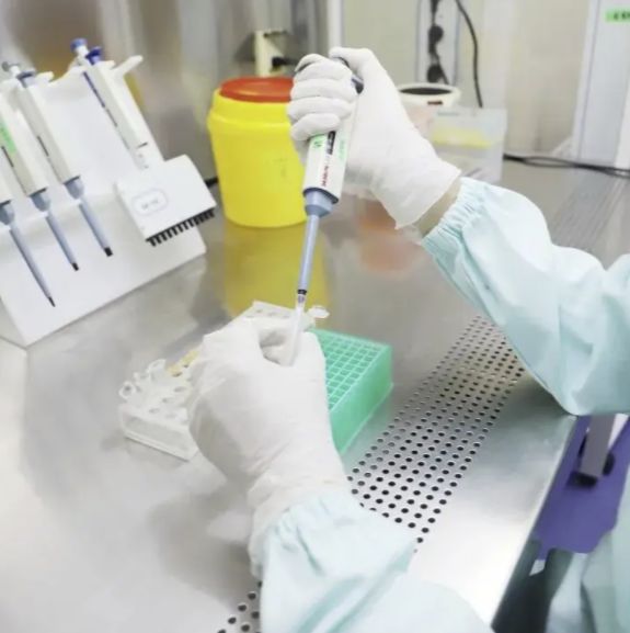 猴痘病毒染料法荧光定量PCR试剂盒