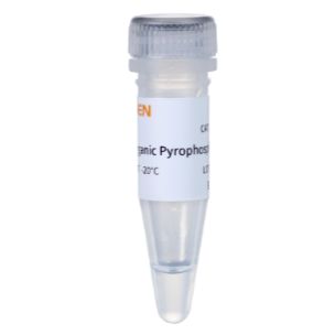 无机焦磷酸酶(Pyrophosphatase)