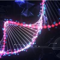 脱靶分析-GUIDE-Pro