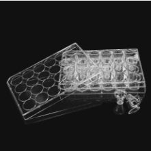 细胞培养小室，含24孔板（PC膜，6.5mm，孔径8.0um）