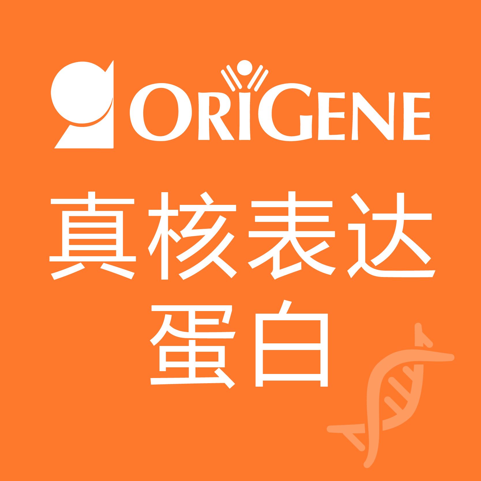OriGene 近9000个真核表达蛋白