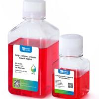 肠癌3D细胞培养产品