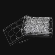 细胞培养小室，含12孔板（PET膜，12mm，孔径8.0um）