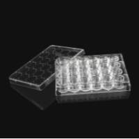 24孔细胞培养板