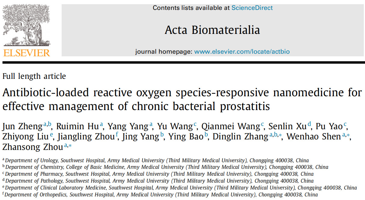 【文献速递】纳米药物在慢性细菌性前列腺炎治疗方面取得新进展