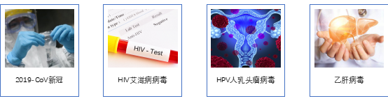 蓬勃发展IVD, 5倍+速度助力引物探针开发