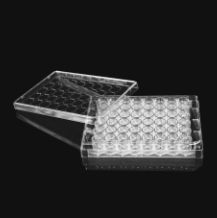 48孔超低吸附细胞培养板