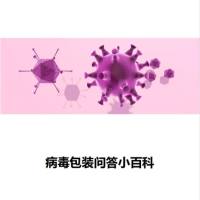 病毒包装问答小百科