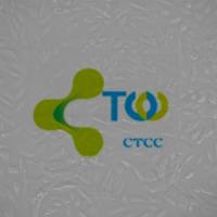 子宫内膜上皮细胞