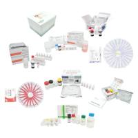 高血压检测试剂盒原装进口